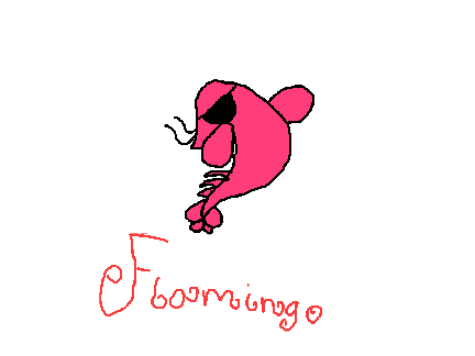 How to be a Flamingo Boi