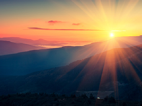 Dawn (Chapter Thirteen)