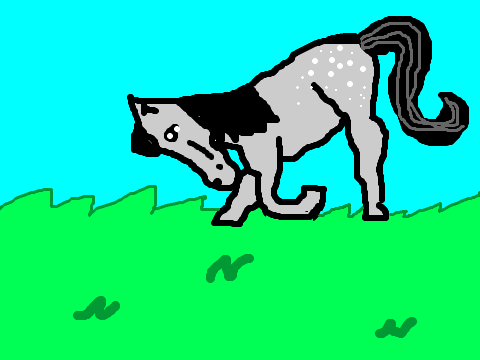 SHINY PONY for Goldentime13