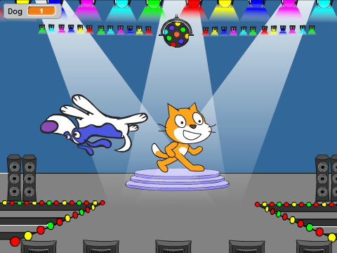 Chase the cat