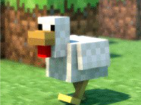 The chicken is happy :D