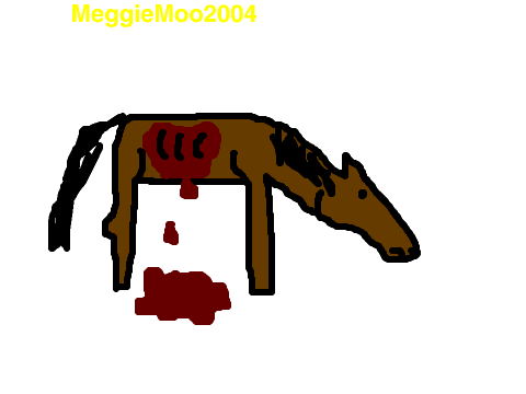 Sign to prevent horse cruelty 