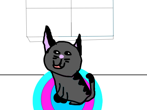 kitty cat