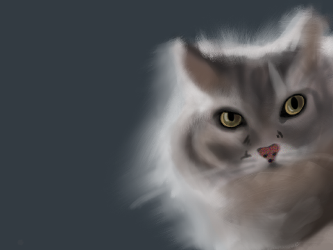 Graystripe Fanart (From "Warrior Cats: Into the Wild")