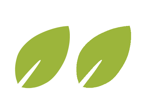 Seasons - Logo request