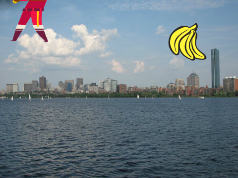 Hit the banana