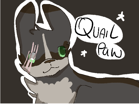 Quailpaw