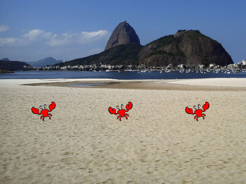 Crab Rave