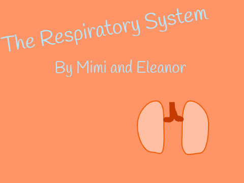 The Respiratory System