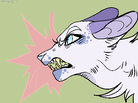 Grrrls CC contest!!!  Entry??