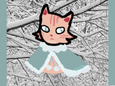❄︎ s n o w y ❄︎