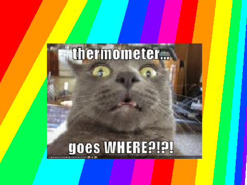 Very Funny LOLCat pics.