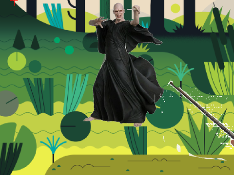 Harry Potter VS Voldermort Wizard Duel