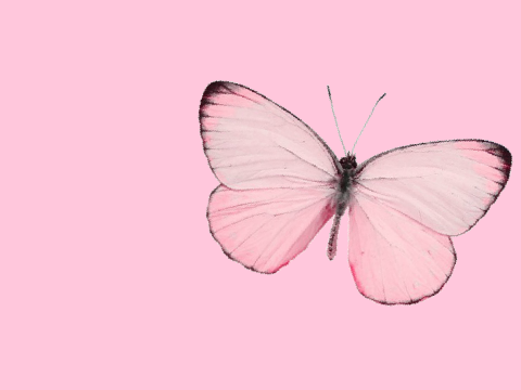 ✿