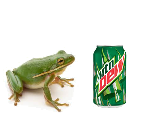 The story of how the mlg frog was born