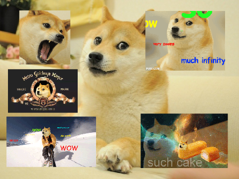 Doge MY FAVE MEME