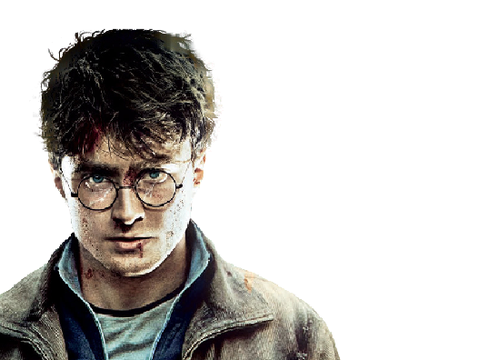 Meet Harry Potter !!!