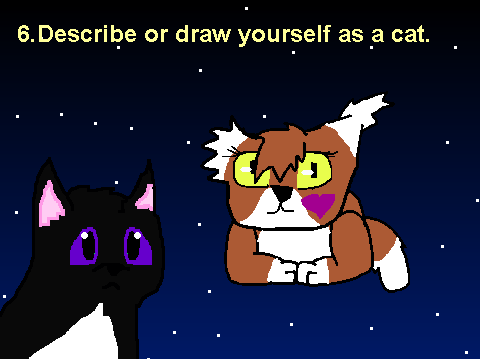 Warrior Cats Meme remix