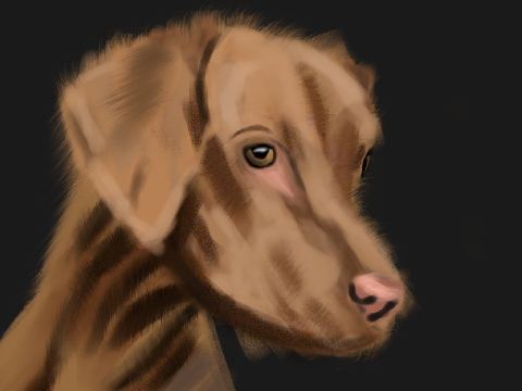 Painting of Doberman