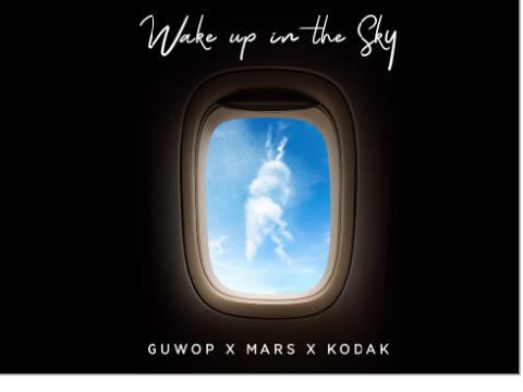 wake up in the sky 