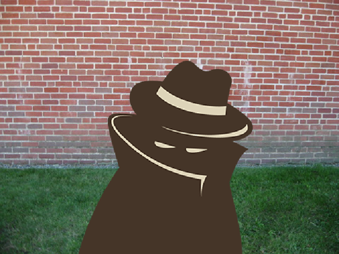  The Fossil Mystery
