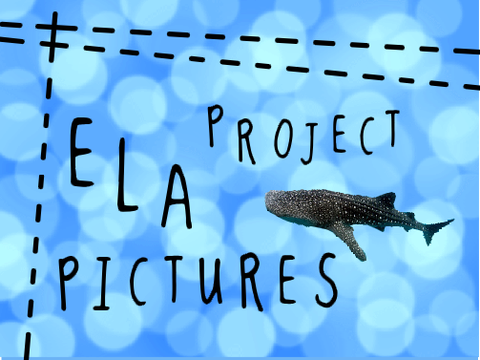 ELA Project Pictures