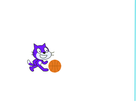 socer cat