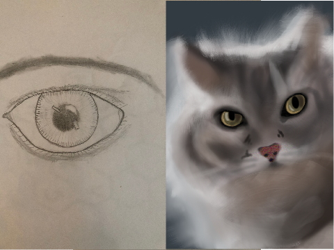 My Drawing Progress from Age 8-12 (from April 2015 to Early 2019)