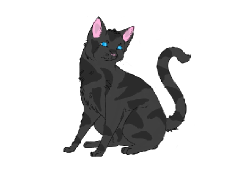 Jayfeather Art