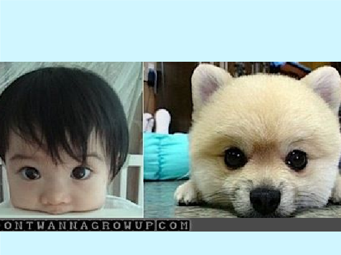Who Is Cuter?