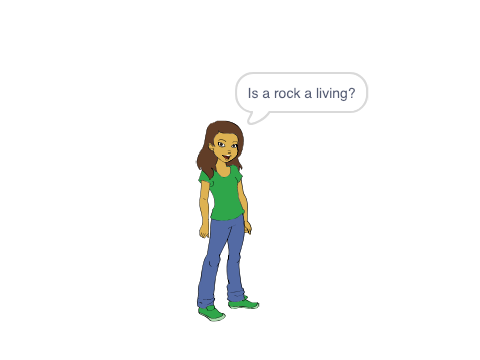 Biology Quiz (yes/no)