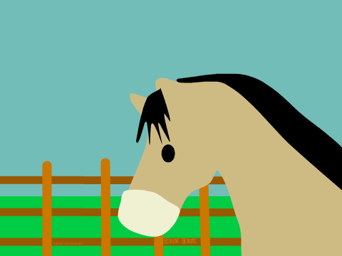 Horse animation