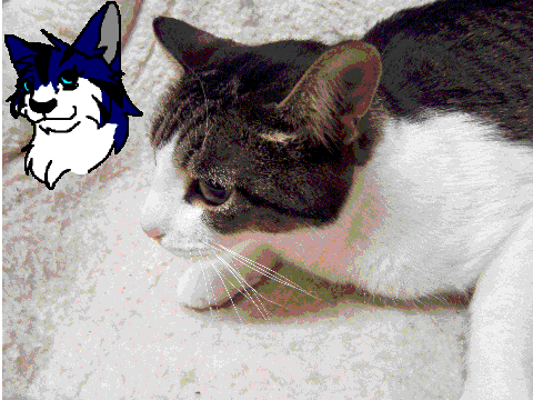 How I designed Luna~