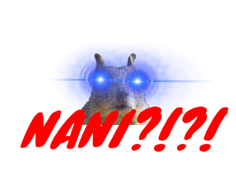 "omae wa mou shinderu"