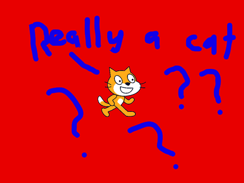 scratch cat being questionalable