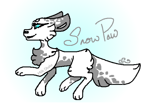 /| Snowpaw |\|/| The Tribes |\