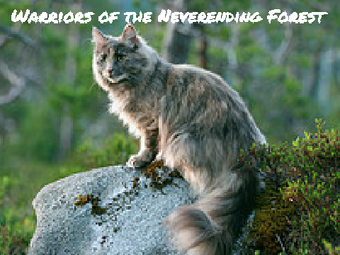 Warriors of the Neverending Forest Bio Template
