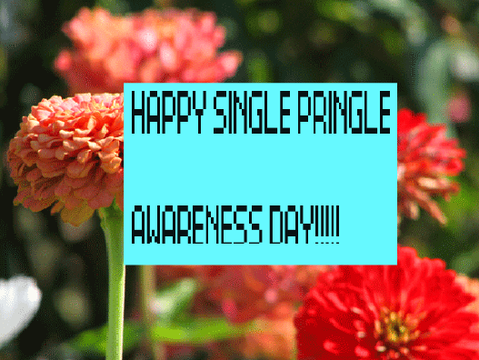 HAPPY SINGLE PRINGLE AWARENESS DAY!
