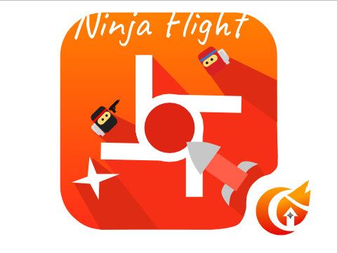 Ninja Flight