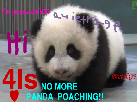 Sign if you are against Panda Poaching!! remix