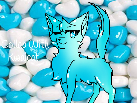 Collab with Kwaicat