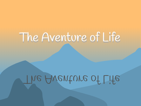 The Adventure of Life