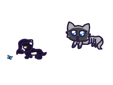 Eclipse and Petal