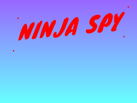 Ninja Spy