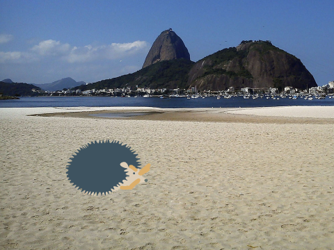 dabing hedgechog 