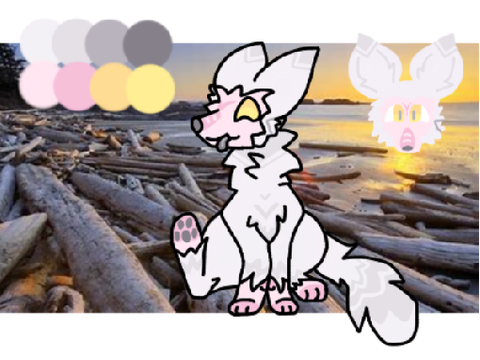 = DT w/ @-Dreamfeather- =