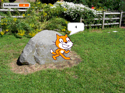 test background number reporter