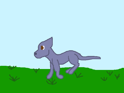 C'run'ge Cycle