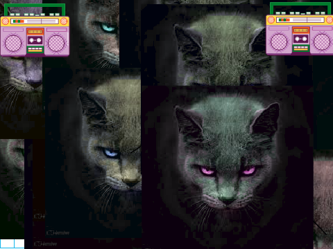cat_meow