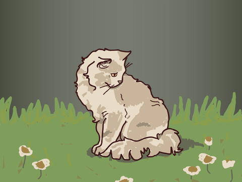 garden aesthetic